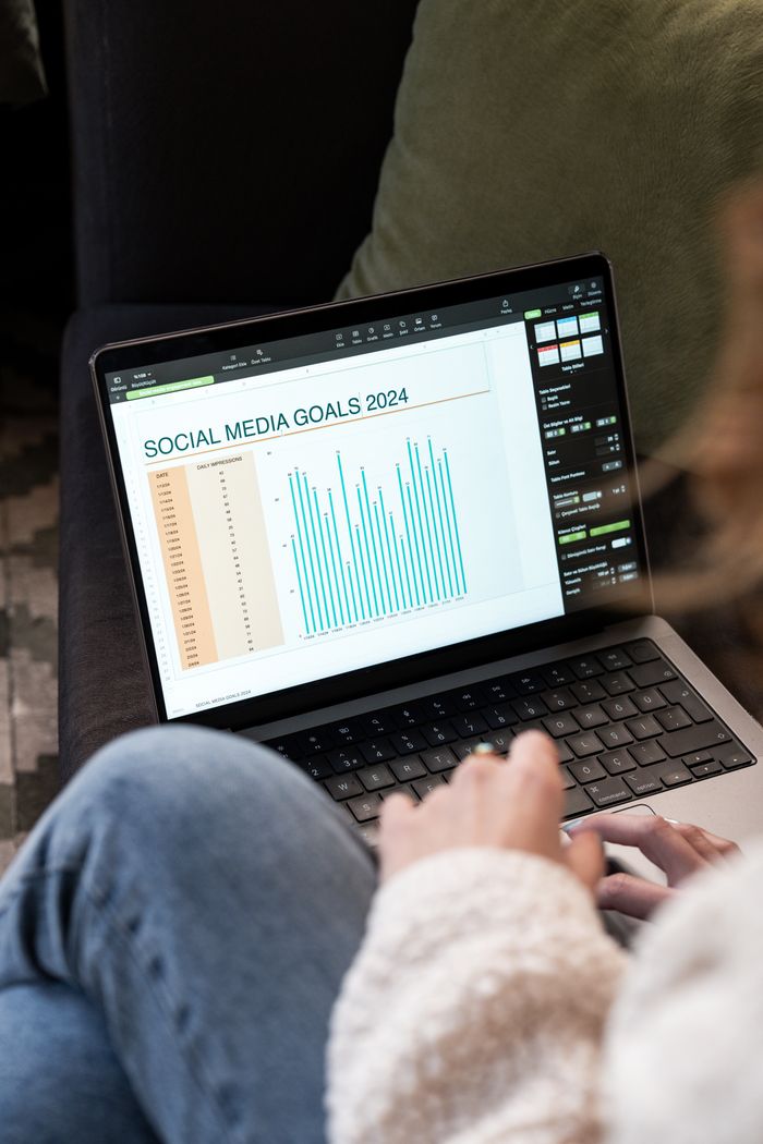 project-03-b Woman reviewing 2024 social media goals chart on laptop indoors.